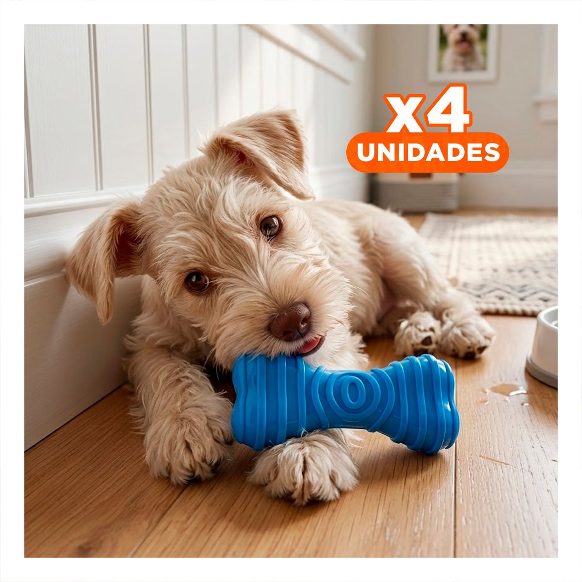 PACK4 JUGUETE DOMESTICO HUESO CON RAYAS EN COLOR AZUL ENTORNOS CONTROLADOS - 1