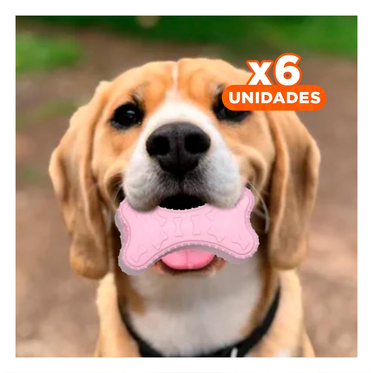 PACK6 PIEZA HUESO PEQUENO EN ROSADO CLARO PARA MASCOTA CON TEXTURA FLEXIBLE Y+REGALO STICKER - 1
