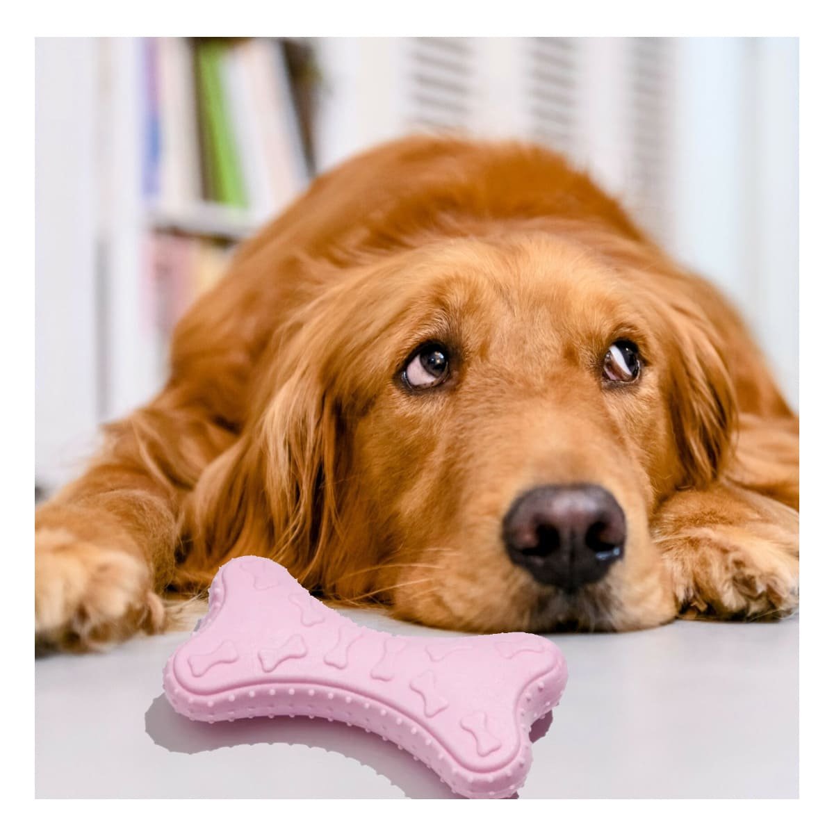 PACK6 PIEZA HUESO PEQUENO EN ROSADO CLARO PARA MASCOTA CON TEXTURA FLEXIBLE Y+REGALO STICKER - 5