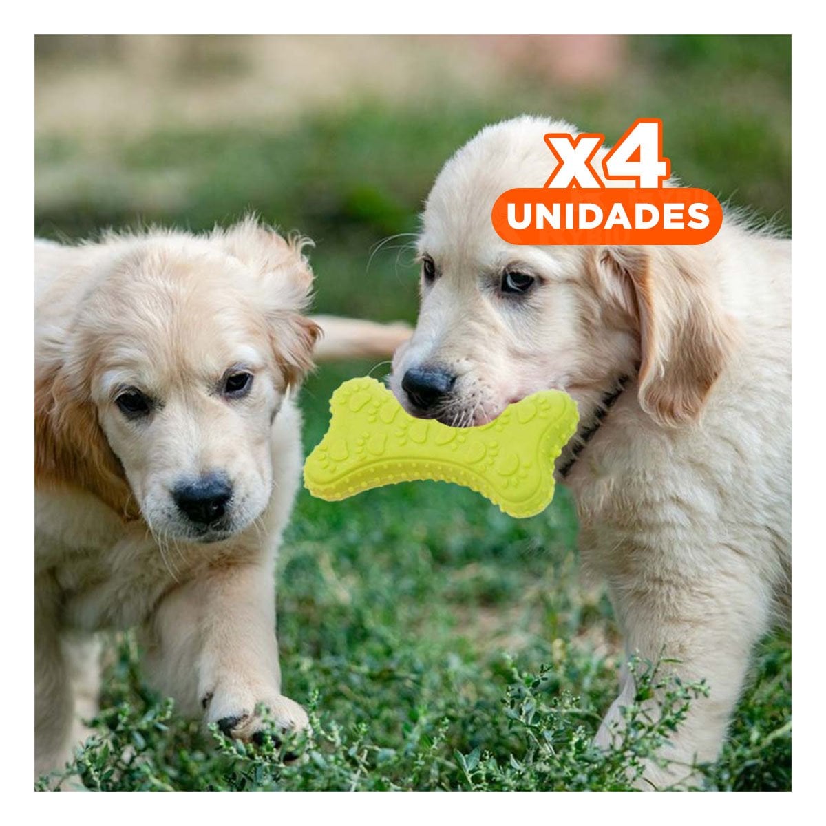PACK4 JUGUETE DOMESTICO HUESO PEQUENO VERDE LIMON EN ENTORNOS CONTROLADOS - 1