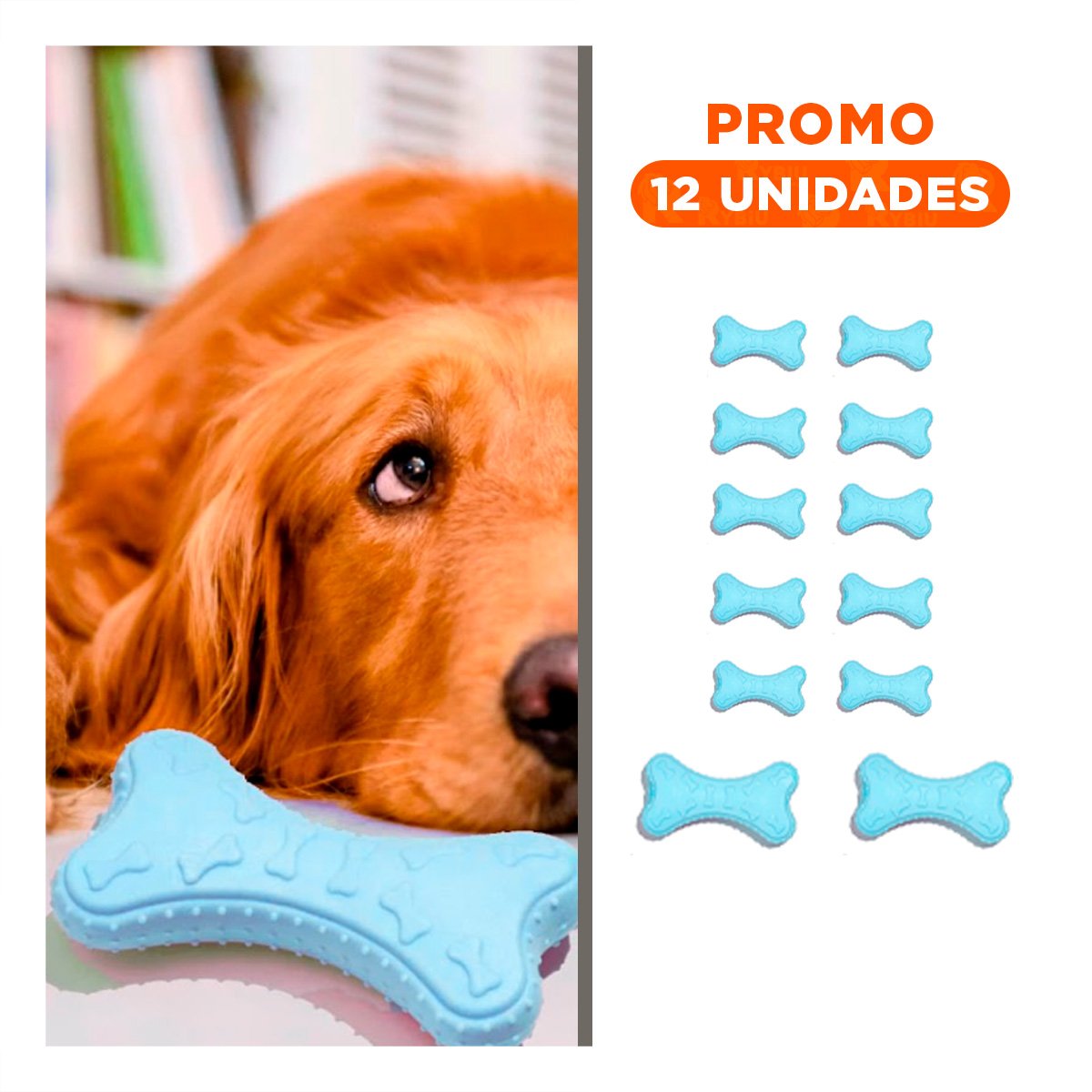 PACK12 ELEMENTO CELESTE CLARO CON FORMA HUESO PEQUENO EN ESPACIOS NEUTROS Y+REGALO STICKER - 1
