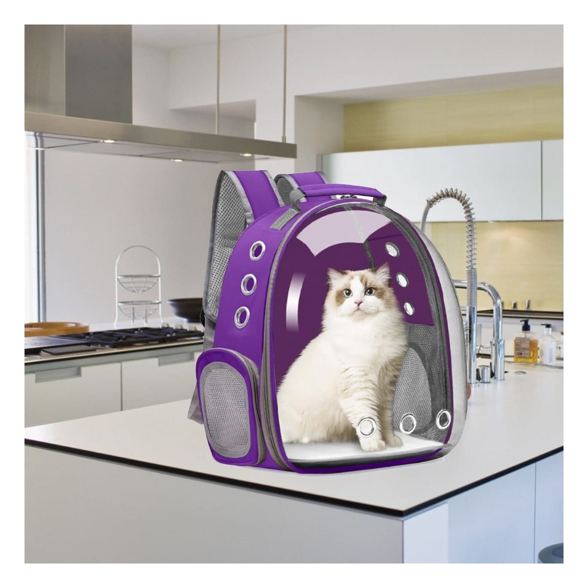 PACK4 CARRIER RESISTENTE PARA GATO EN MORADO CON BURBUJA EXPANDIBLE Y BASE ESTABLE - 2