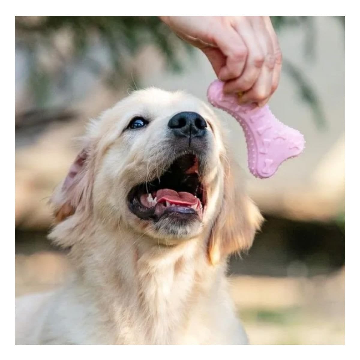 JUGUETE EN FORMA DE HUESO PEQUENO EN ROSADO CLARO PARA MASCOTA Y+PAPEL REGALO - 3