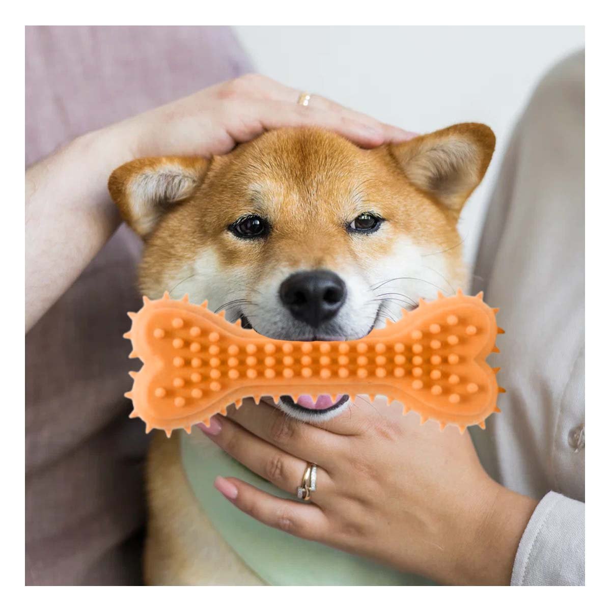 PACK4 JUGUETE DOMESTICO HUESO CON PUAS EN COLOR NARANJA ENTORNOS CONTROLADOS - 5
