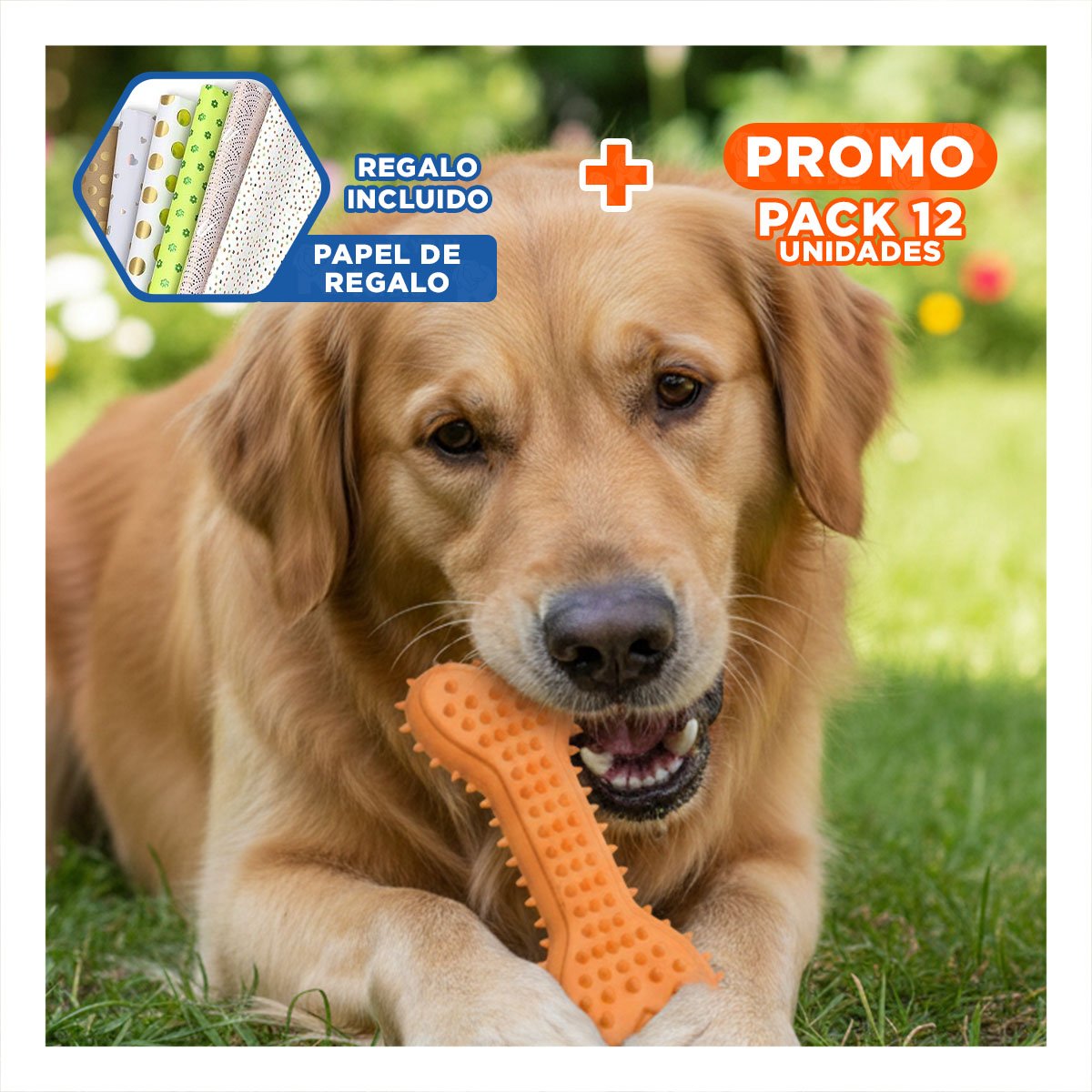 PACK12 ELEMENTO HUESO CON PUAS EN COLOR NARANJA CON IMAGEN EQUILIBRADA Y+PAPEL REGALO - 1