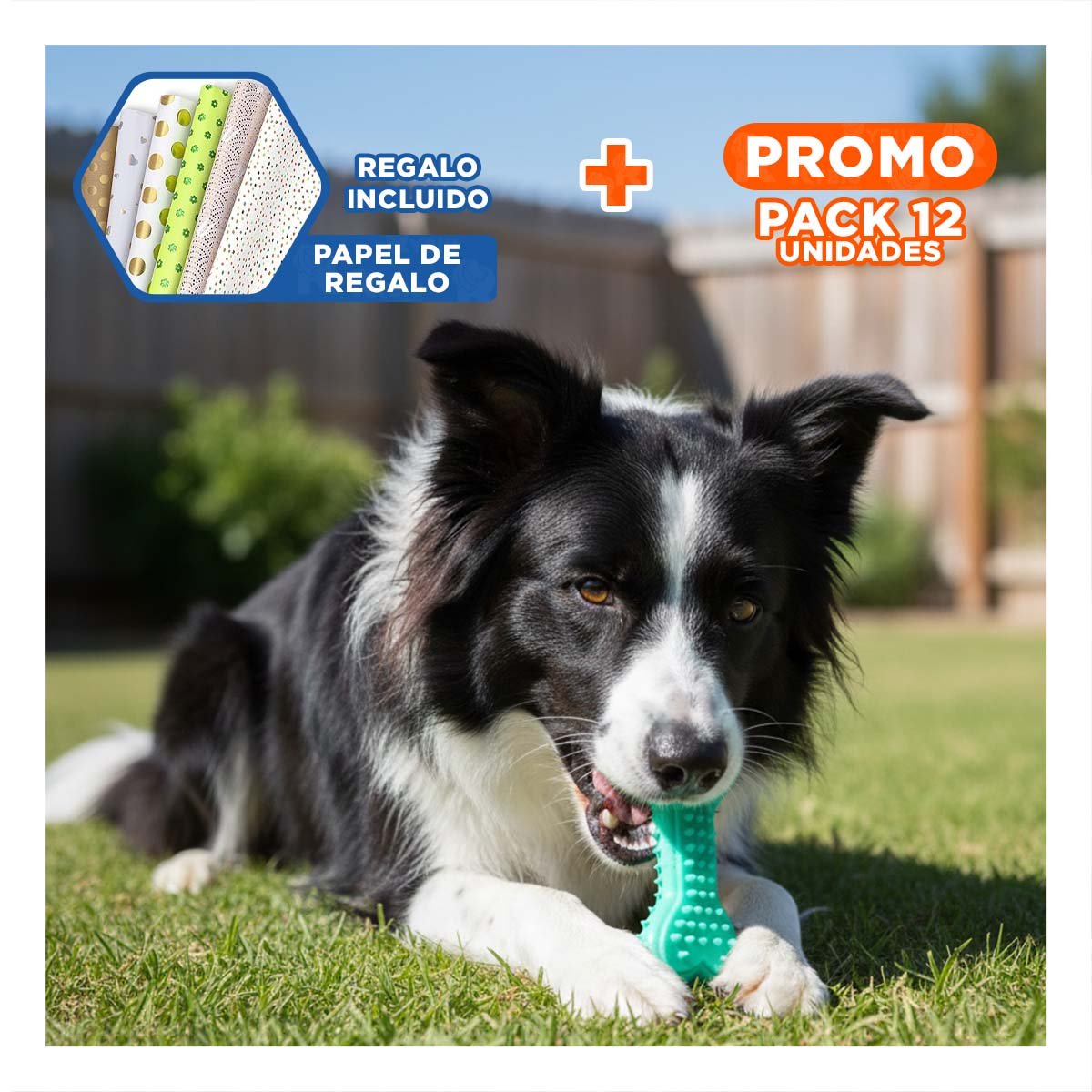 PACK12 ELEMENTO HUESO CON PUAS EN COLOR VERDE AGUA CON IMAGEN EQUILIBRADA Y+PAPEL REGALO - 1