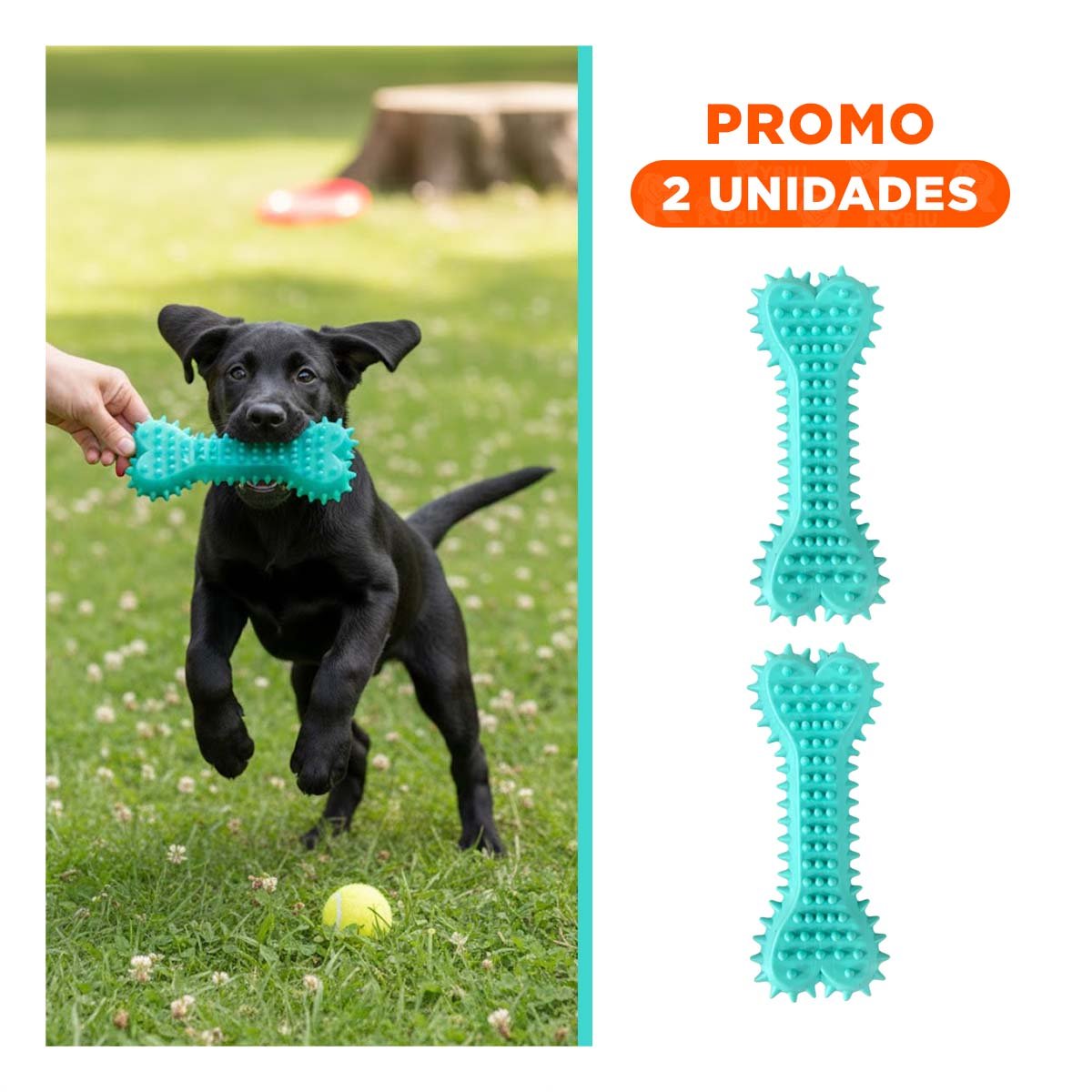 PACK2 JUGUETE DE MASCOTA EN COLOR VERDE AGUA CON SILUETA HUESO CON PUAS PARA AREA CLARA - 1