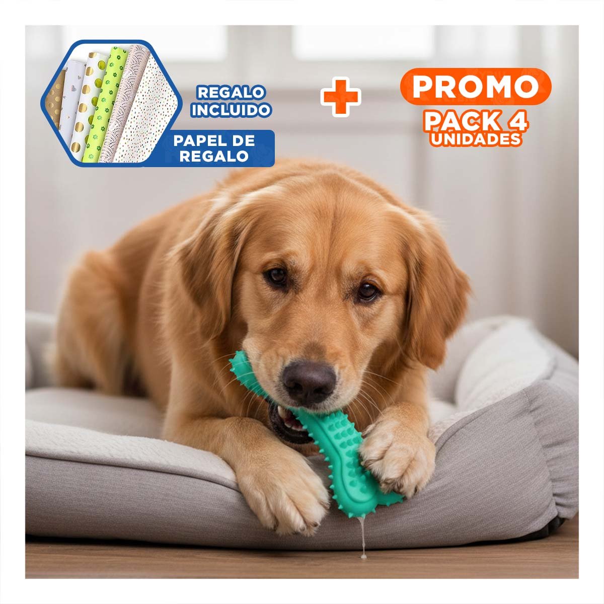 PACK4 JUGUETE PRACTICO EN VERDE AGUA CON FIGURA HUESO CON PUAS PARA ORDEN DIARIO Y+PAPEL REGALO - 1