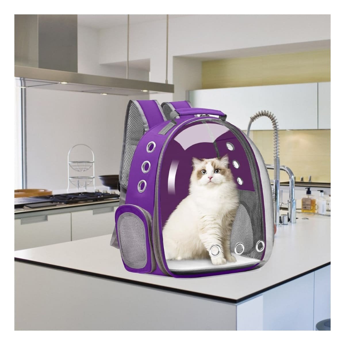 MOCHILA MODERNA PARA GATO EN MORADO CON BURBUJA EXPANDIBLE Y MATERIAL DURADERO Y+POST IT - 3