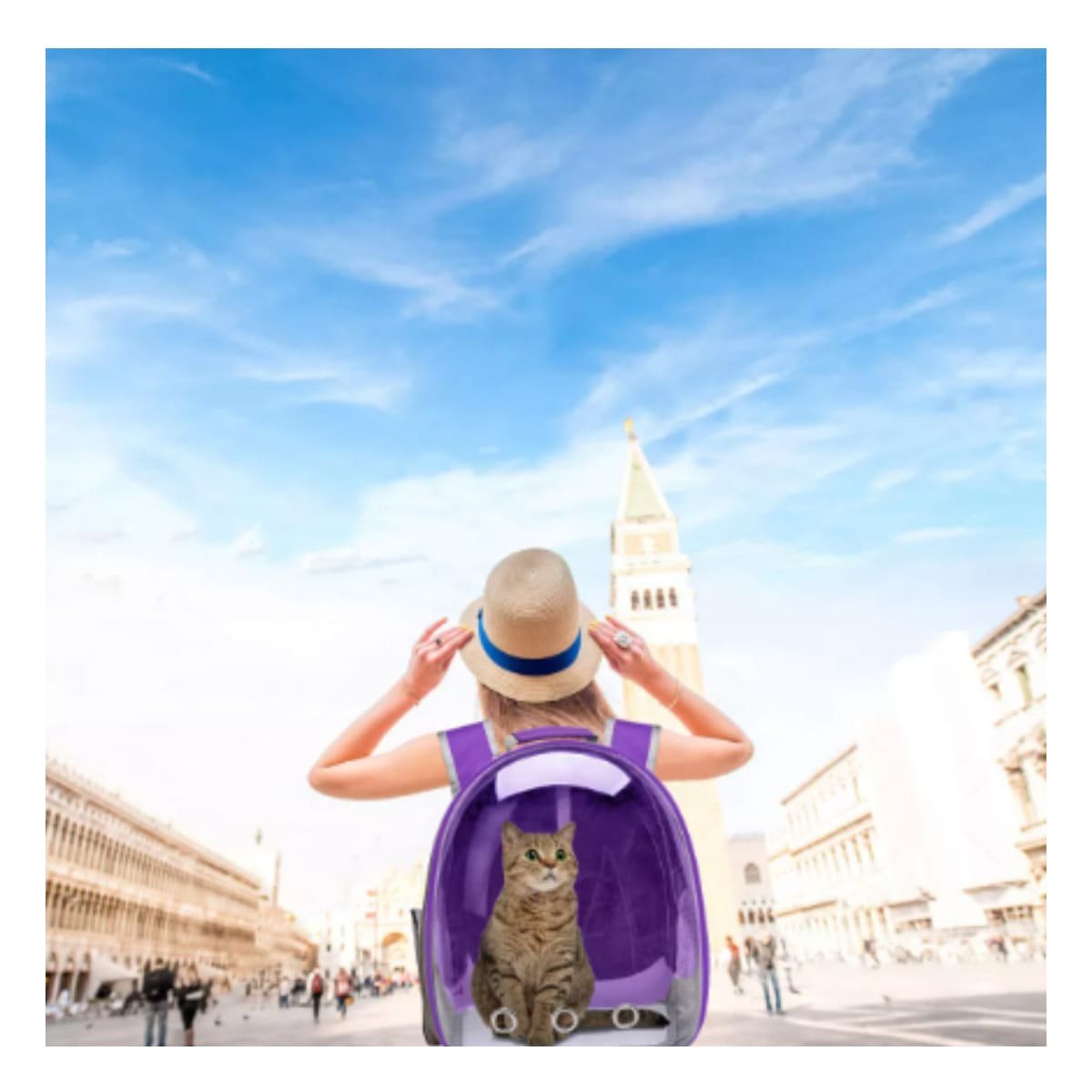 PACK2 CARRIER EXPANDIBLE PARA GATO EN MORADO CON BURBUJA TRANSPARENTE Y PANEL VENTILADO - 3
