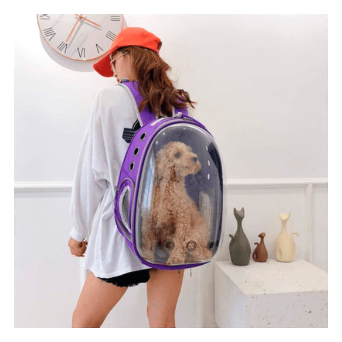 PACK2 CARRIER EXPANDIBLE PARA GATO EN MORADO CON BURBUJA TRANSPARENTE Y PANEL VENTILADO - 5