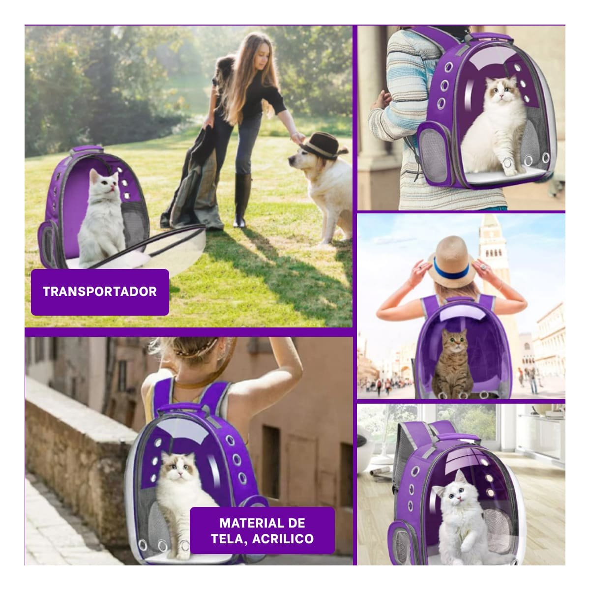 PACK4 MORRAL EXPANDIBLE PARA GATO EN MORADO CON BURBUJA VISIBLE Y SOPORTE Y+REGALO STICKER - 2