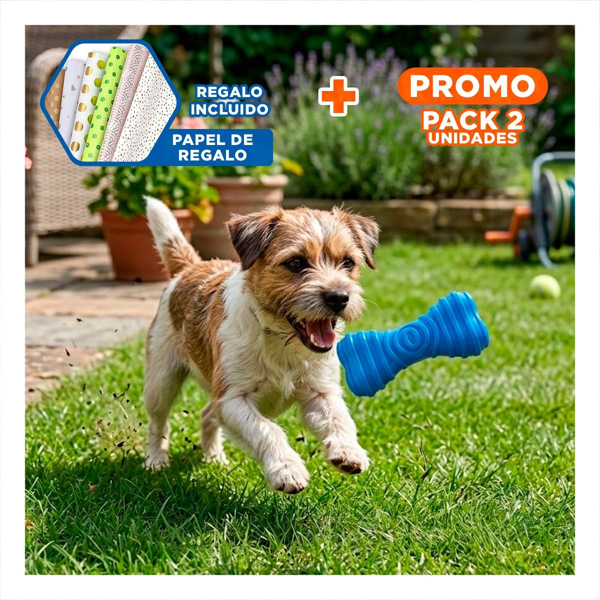 PACK2 JUGUETE LIGERO HUESO CON RAYAS EN TONO AZUL QUE OPTIMIZA RINCONES Y+PAPEL REGALO - 1
