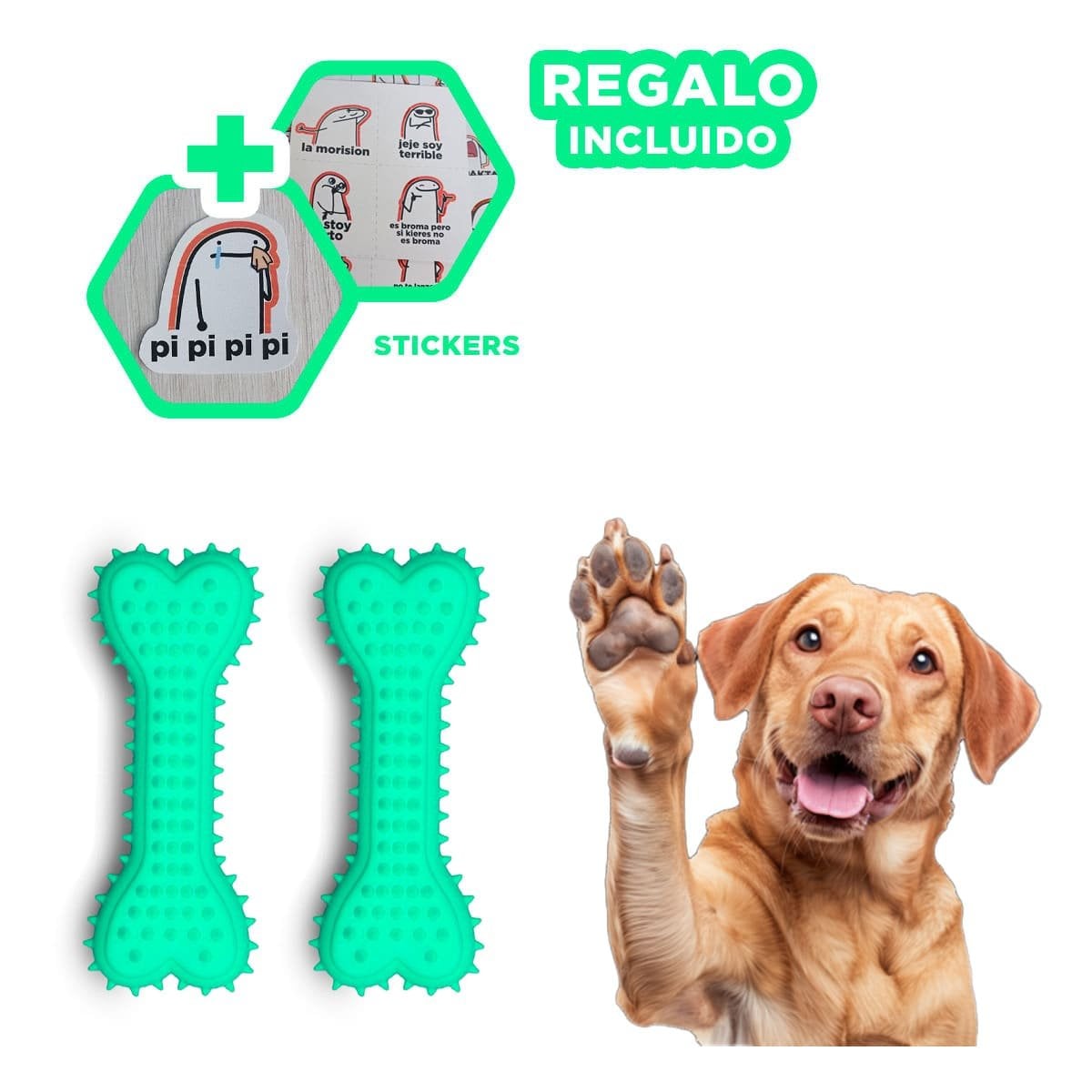 MORDEDOR HUESO CON PUAS EN COLOR VERDE AGUA PARA MOVIMIENTO Y ENTRETENIMIENTO Y+REGALO STICKER - 1
