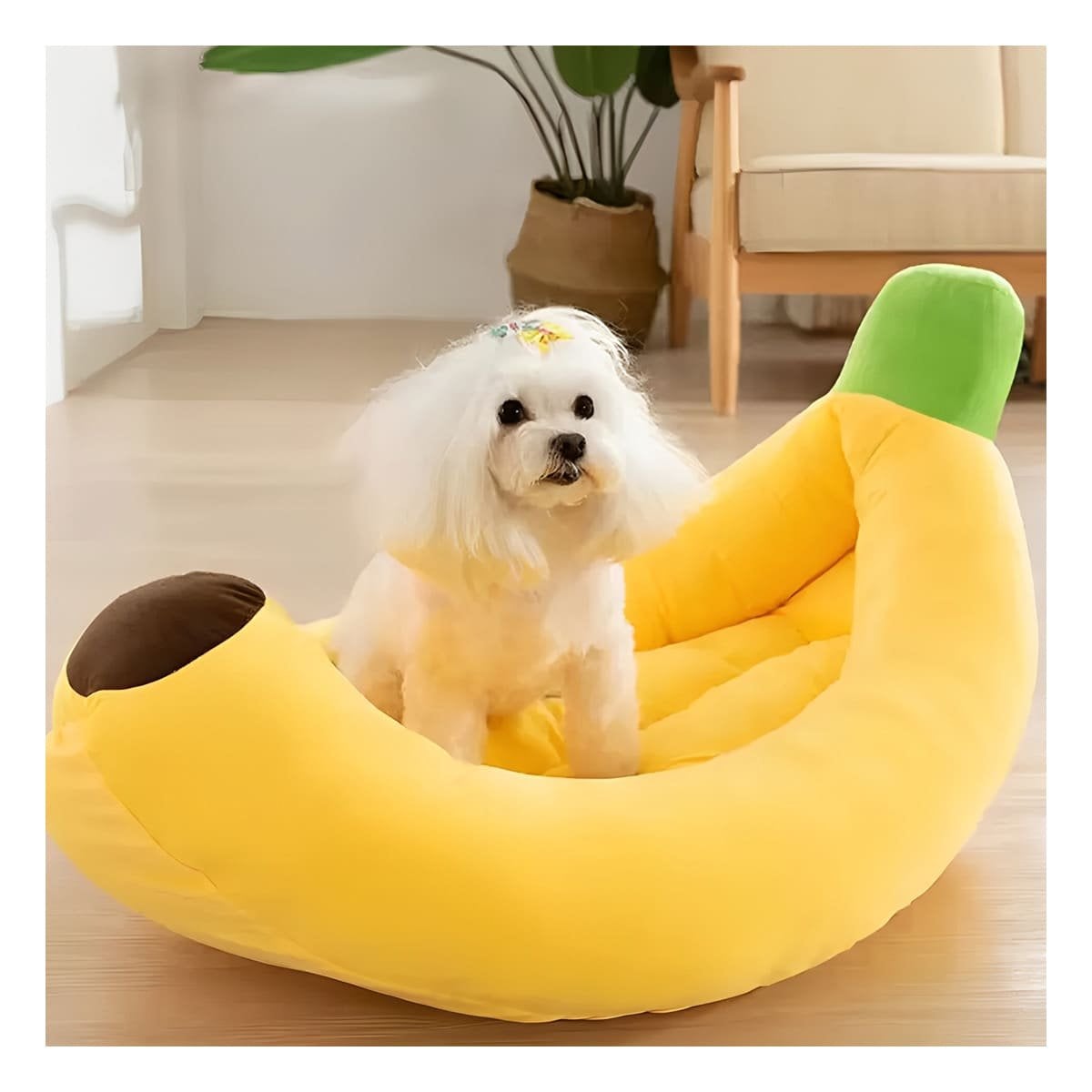 BASE COMODA CON FORMA DE PLATANO PARA MASCOTA TALLA S AMARILLO Y+REGALO STICKER - 5