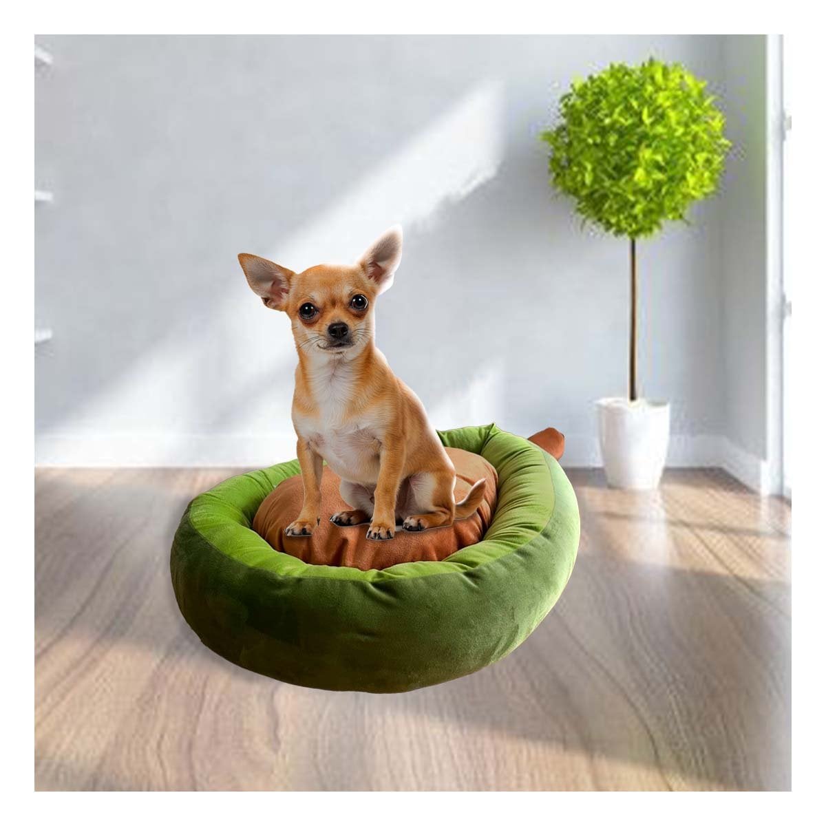 PACK2 CAMA PALTA PARA MASCOTA TALLA S VERDE DE GRAN CLASE PARA SUS PERRITOS Y+REGALO STICKER - 3