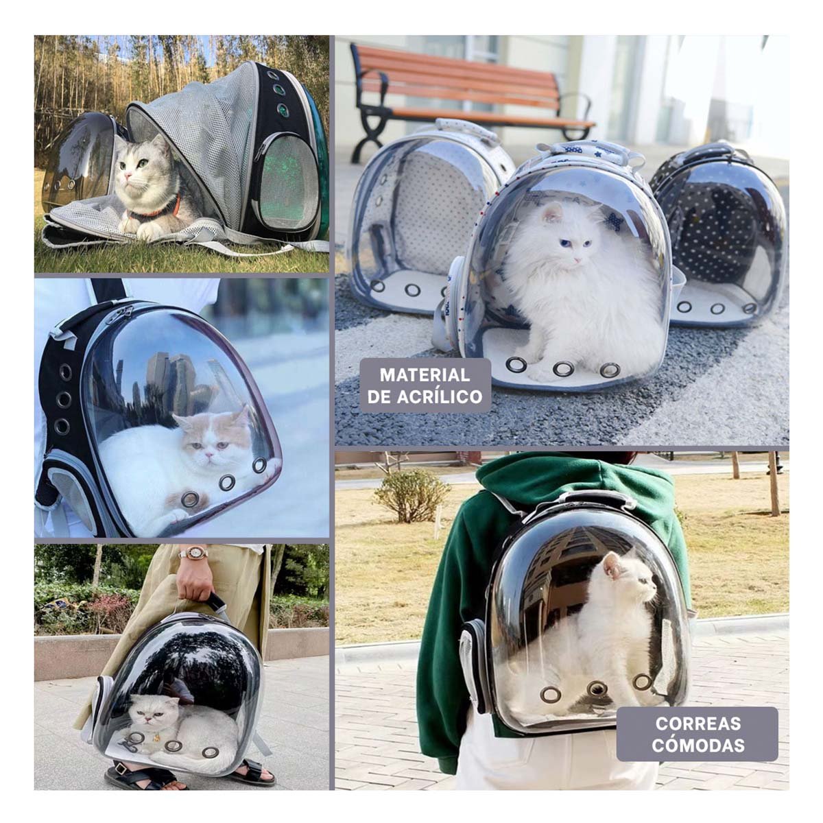 MOCHILA MODERNA PARA GATO EN NEGRO CON BURBUJA VISIBLE Y ACABADO RESISTENTE Y+POST IT - 1