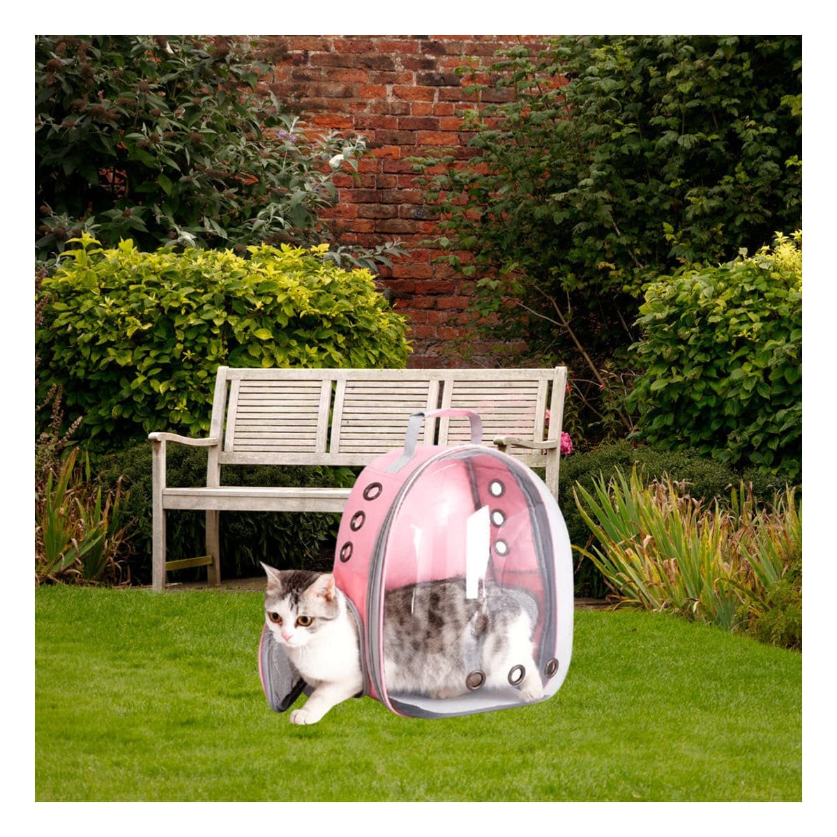 PACK2 CARRIER PORTATIL PARA GATO EN ROSADO CON BURBUJA AMPLIA Y SOPORTE FIRME Y+PAPEL REGALO - 5