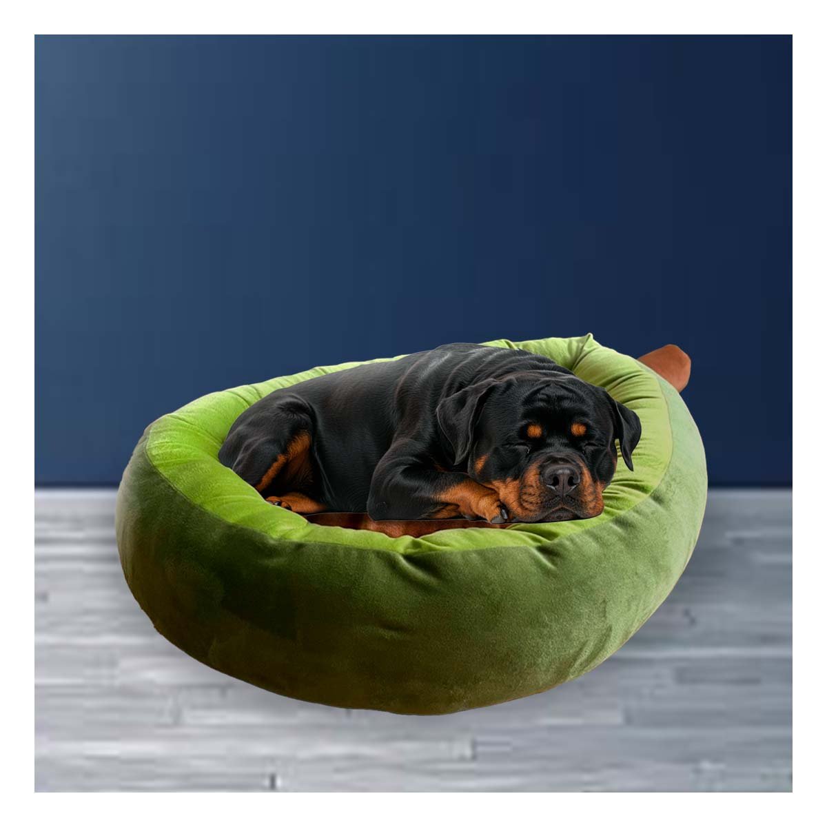 REFUGIO DE SUEÑO PALTA TALLA L VERDE DE MUCHA SALUD PARA SU CANINO Y+PAPEL REGALO - 5