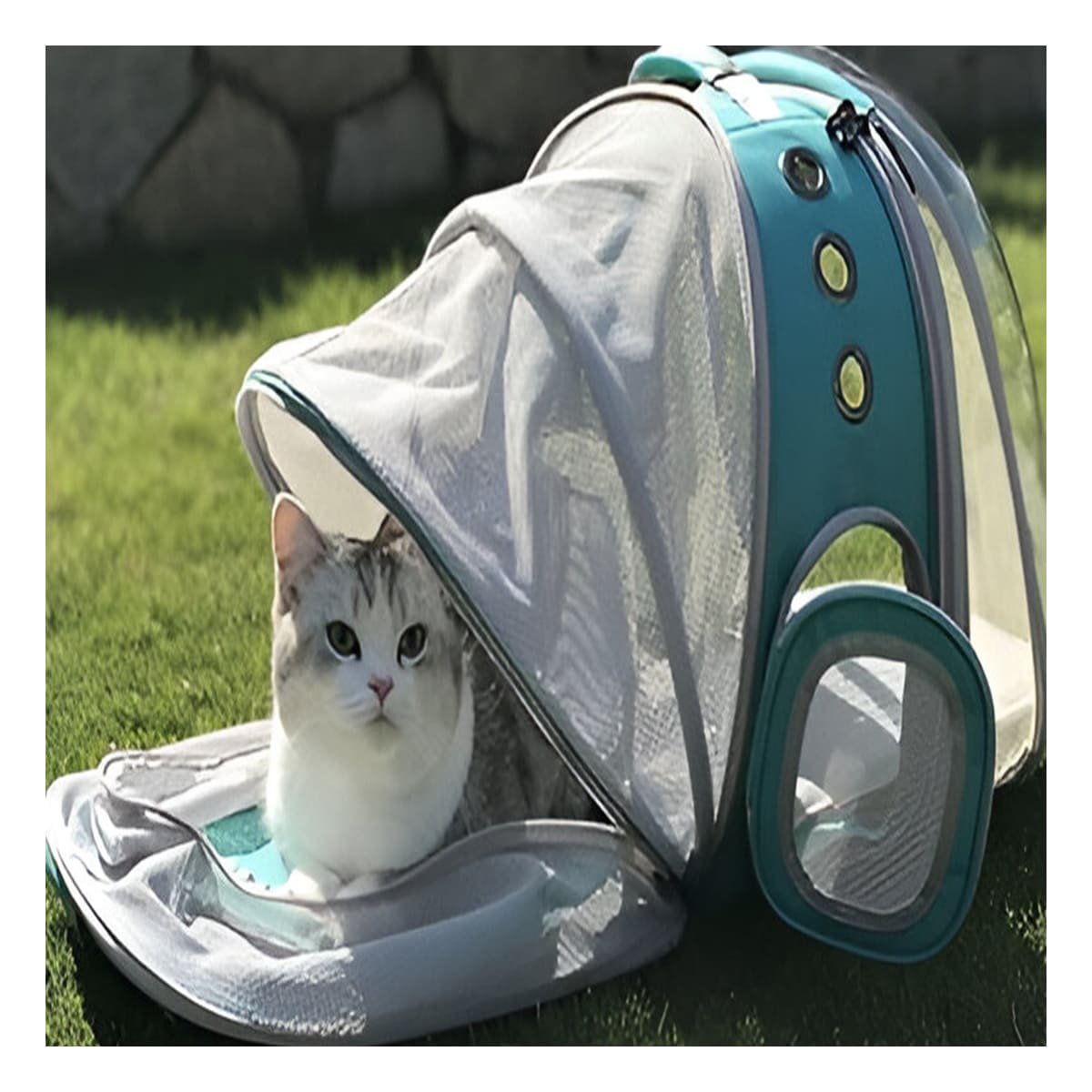 MOCHILA MODERNA PARA GATO EN CELESTE CON BURBUJA EXPANDIBLE Y MATERIAL DURADERO Y+POST IT - 3