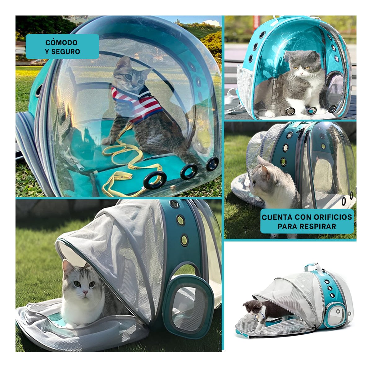 MOCHILA MODERNA PARA GATO EN CELESTE CON BURBUJA EXPANDIBLE Y MATERIAL DURADERO Y+POST IT - 5