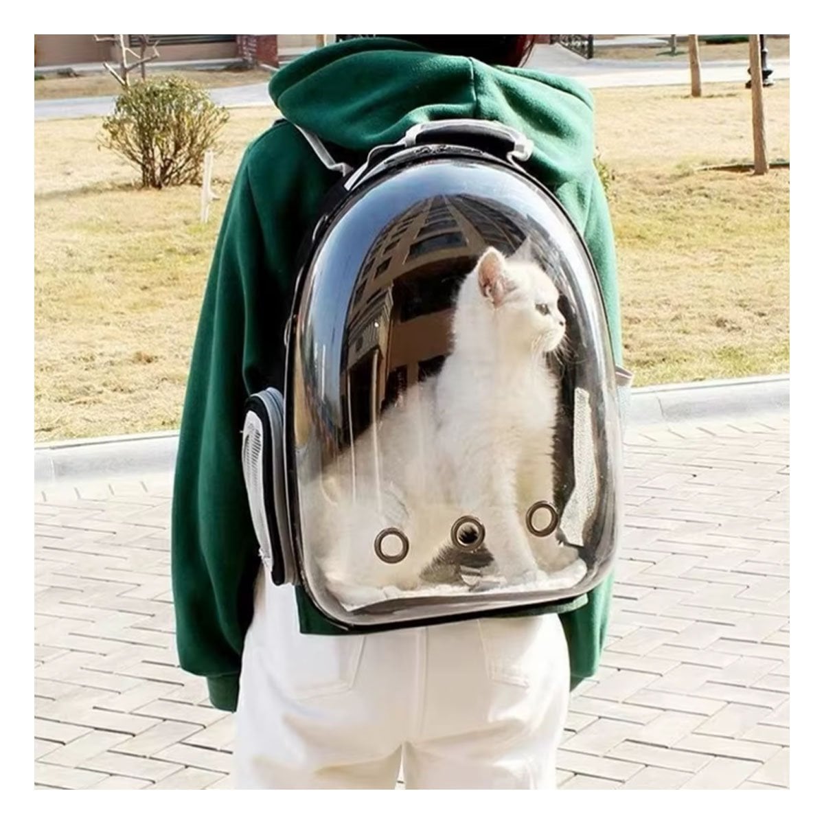 PACK4 MORRAL MODERNO PARA GATO EN NEGRO CON CAPSULA TRANSPARENTE Y SOPORTE Y+PAPEL REGALO - 2