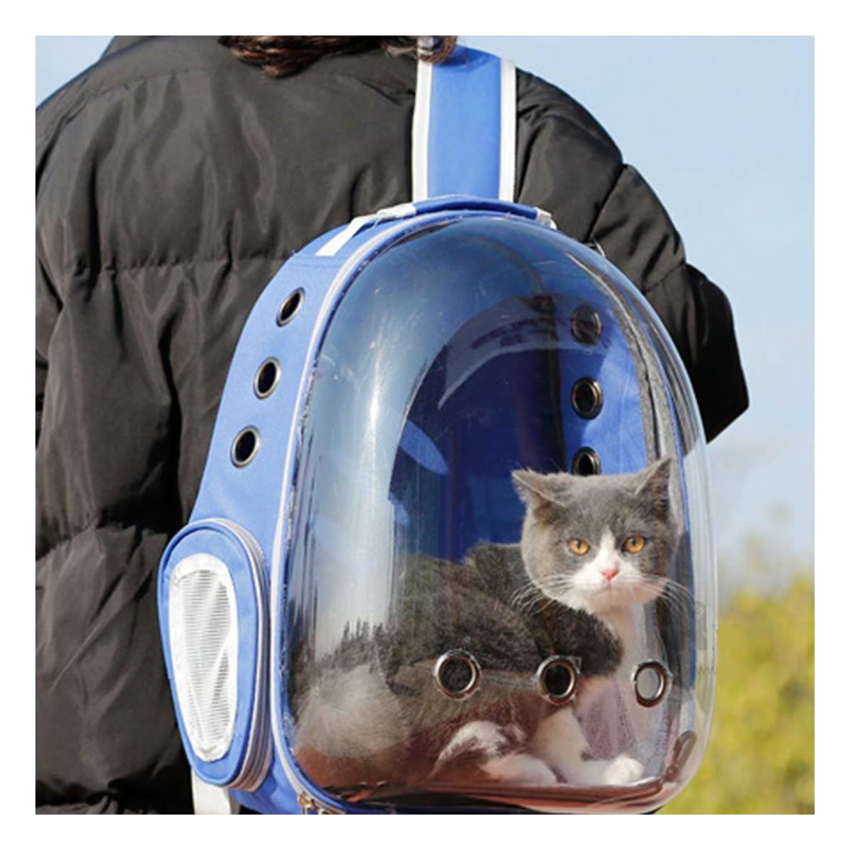 MOCHILA EXPANDIBLE PARA GATO EN AZUL CON BURBUJA TRANSPARENTE Y SOPORTE SEGURO Y+PAPEL REGALO - 2