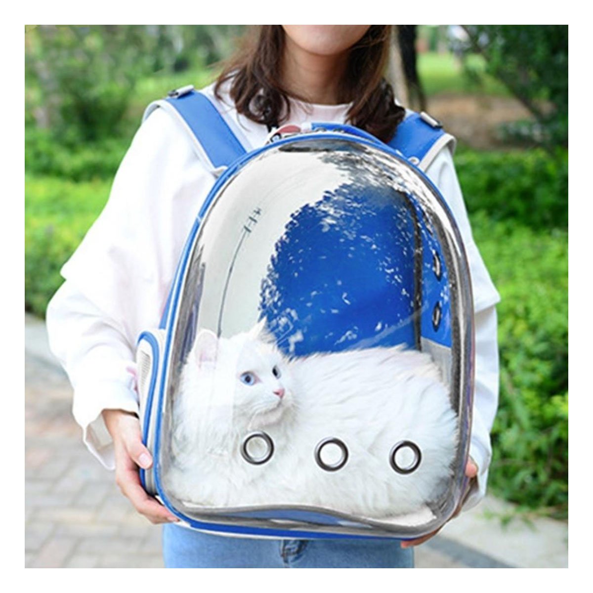 MOCHILA EXPANDIBLE PARA GATO EN AZUL CON BURBUJA TRANSPARENTE Y SOPORTE SEGURO Y+PAPEL REGALO - 3