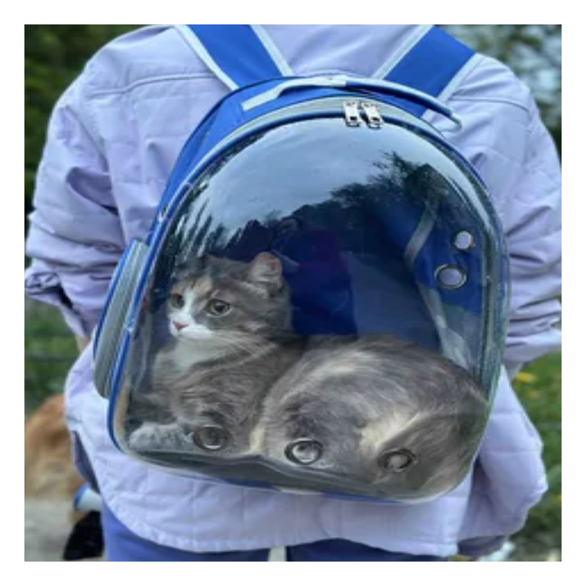 MOCHILA EXPANDIBLE PARA GATO EN AZUL CON BURBUJA TRANSPARENTE Y SOPORTE SEGURO Y+PAPEL REGALO - 5
