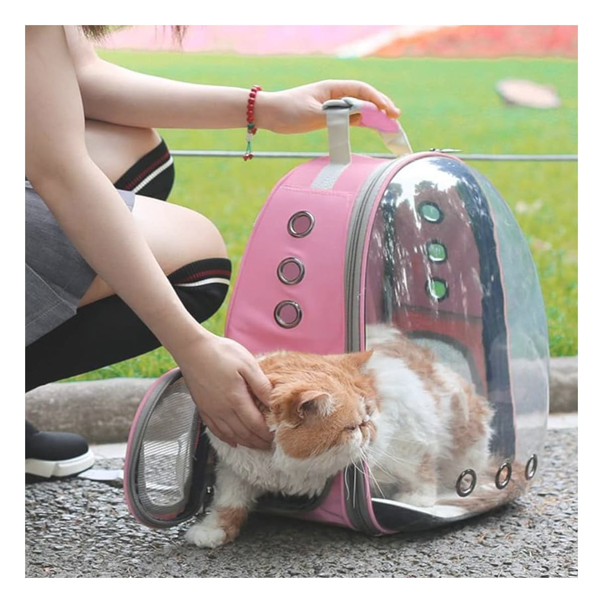 MOCHILA TRANSPORTADORA PARA GATO EN ROSADO CON CAPSULA FRONTAL Y PANEL Y+REGALO STICKER - 2