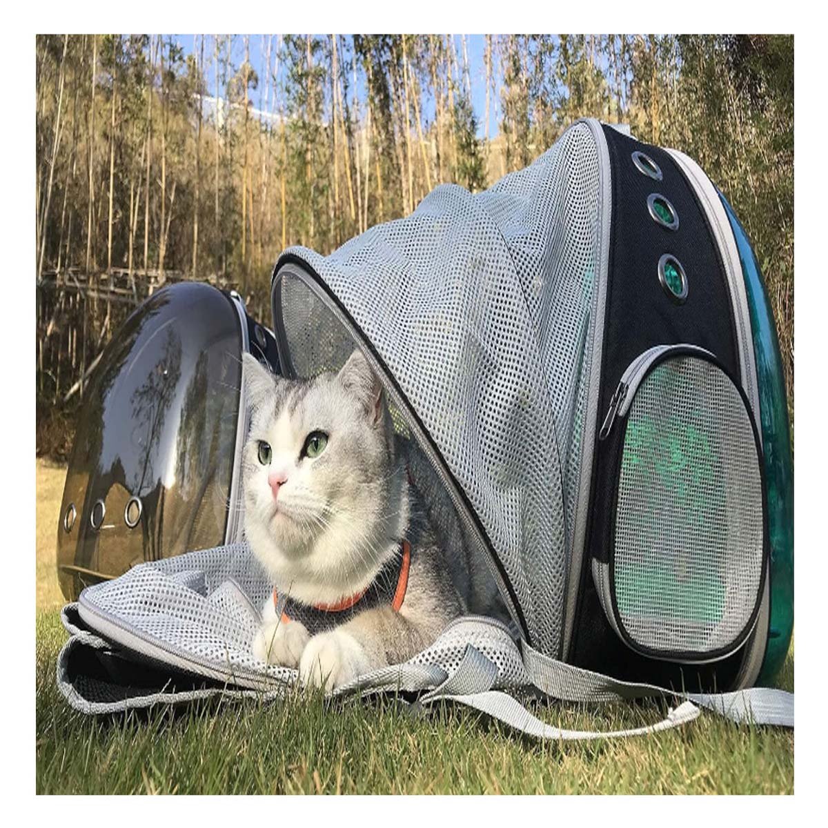 MOCHILA EXPANDIBLE PARA GATO EN NEGRO CON CAPSULA BURBUJA TRANSPARENTE Y+PAPEL REGALO - 2