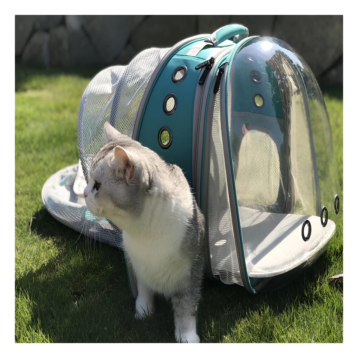 MOCHILA EXPANDIBLE PARA GATO EN CELESTE CON BURBUJA TRANSPARENTE Y SOPORTE Y+PAPEL REGALO - 2