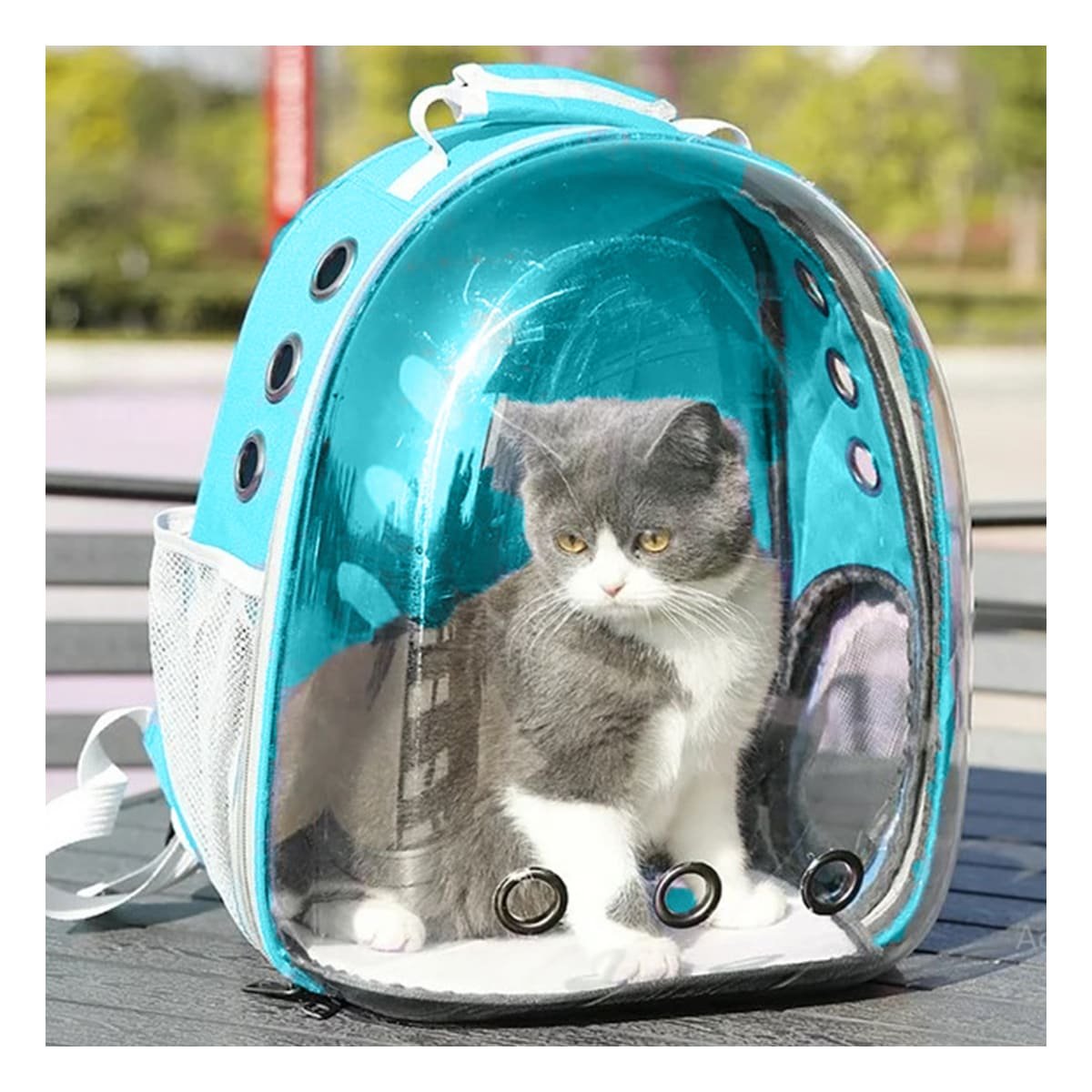 MOCHILA EXPANDIBLE PARA GATO EN CELESTE CON BURBUJA TRANSPARENTE Y SOPORTE Y+PAPEL REGALO - 5