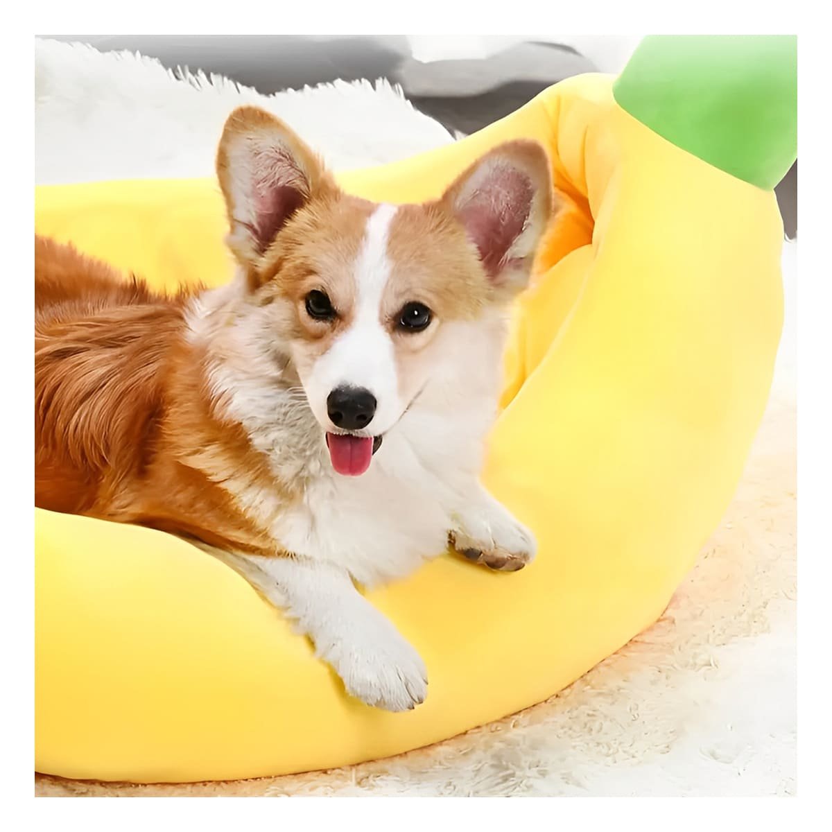 PACK2 DESCANSO TIPO PLATANO PARA MASCOTA TALLA L EN COLOR AMARILLO SUAVE Y+PAPEL REGALO - 2