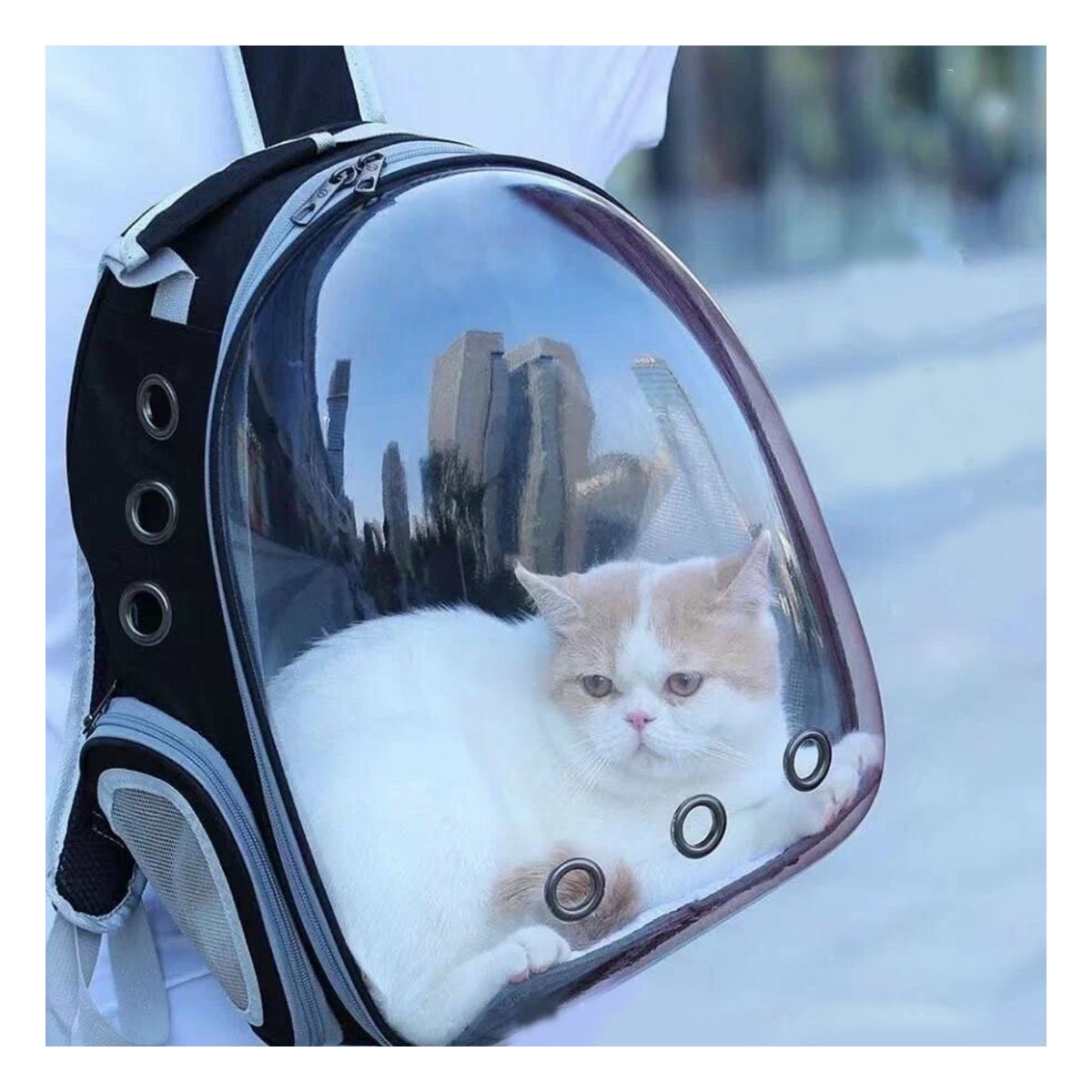 MOCHILA TRANSPORTADORA PARA GATO EN NEGRO CON BURBUJA VENTILADA Y BASE ESTABLE Y+REGALO STICKER - 5