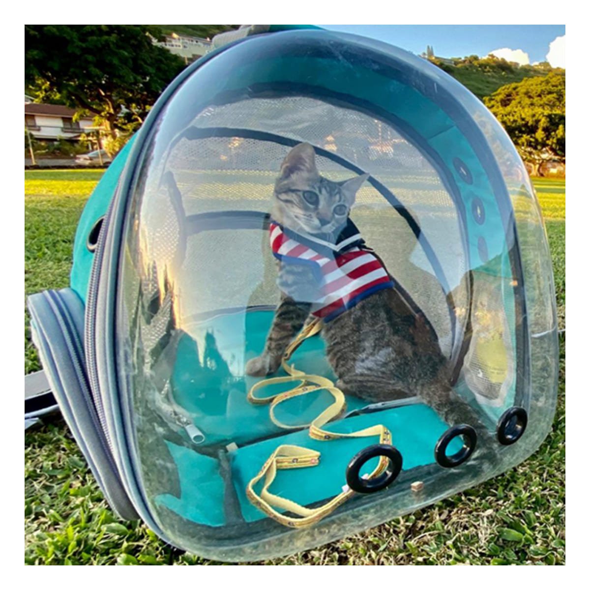 MOCHILA TRANSPORTADORA PARA GATO EN CELESTE CON CAPSULA FRONTAL Y+REGALO STICKER - 2