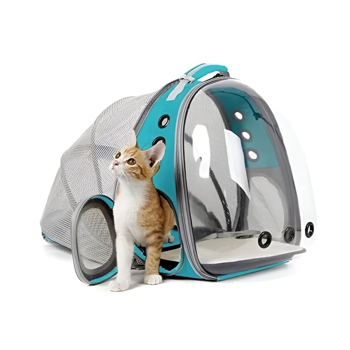 MOCHILA TRANSPORTADORA PARA GATO EN CELESTE CON CAPSULA FRONTAL Y+REGALO STICKER - 3