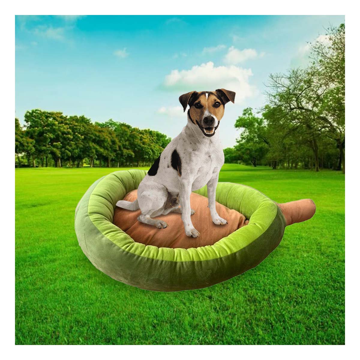 PACK6 CAMA PALTA PARA MASCOTA TALLA S VERDE PARA SUS MANOS CON MANEJO FACIL - 2