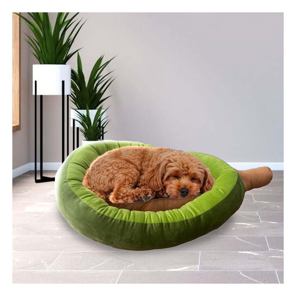 PACK6 CAMA PALTA PARA MASCOTA TALLA S VERDE PARA SUS MANOS CON MANEJO FACIL - 5