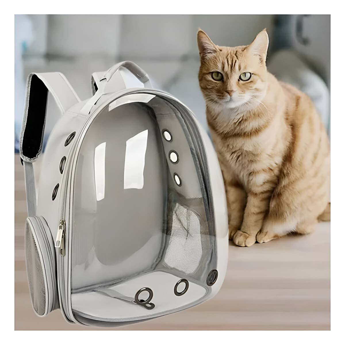 PACK2 CARRIER EXPANDIBLE PARA GATO EN PLOMO CON BURBUJA TRANSPARENTE Y PANEL VENTILADO - 5