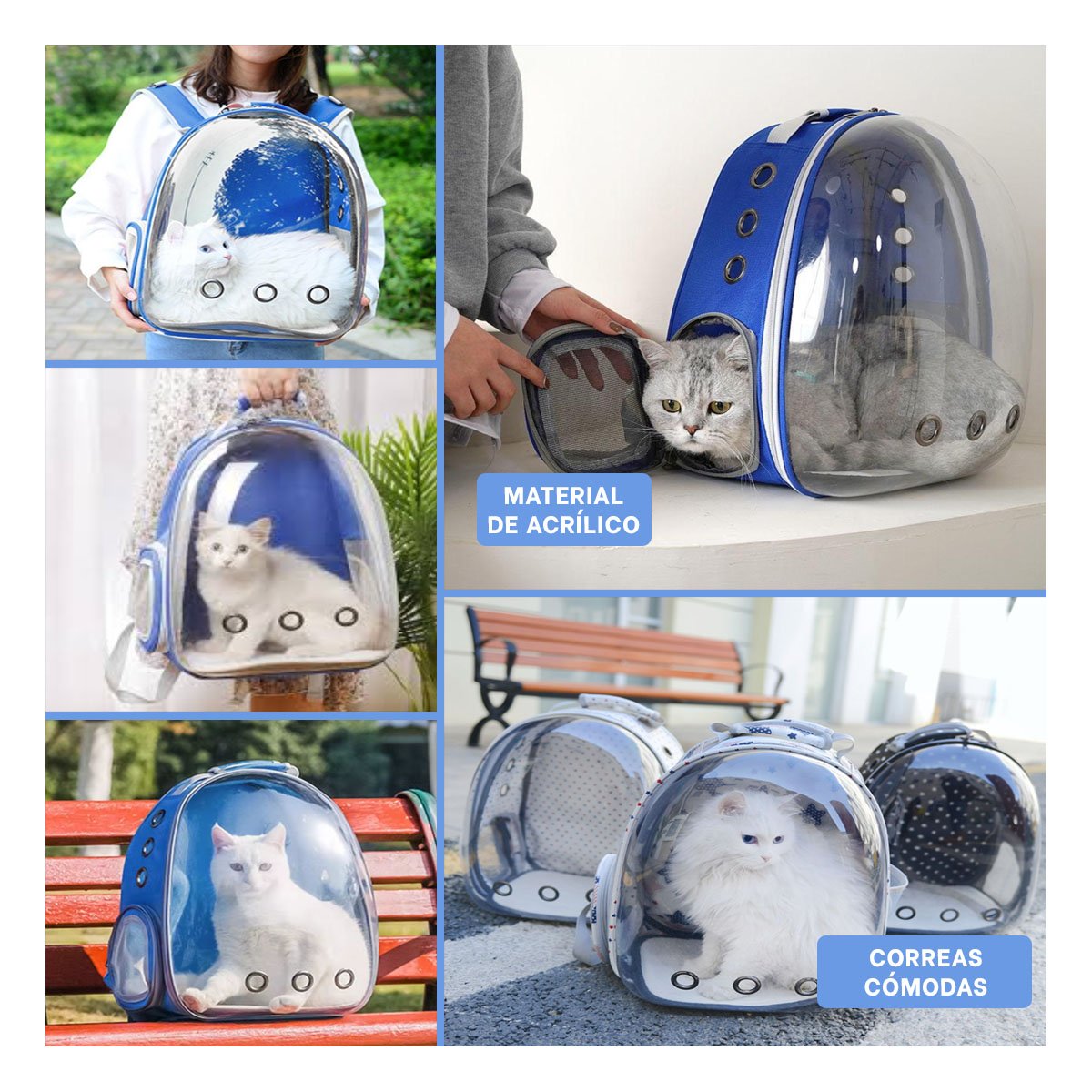 PACK2 CARRIER PORTATIL PARA GATO EN AZUL CON BURBUJA AMPLIA Y SOPORTE FIRME Y+PAPEL REGALO - 3