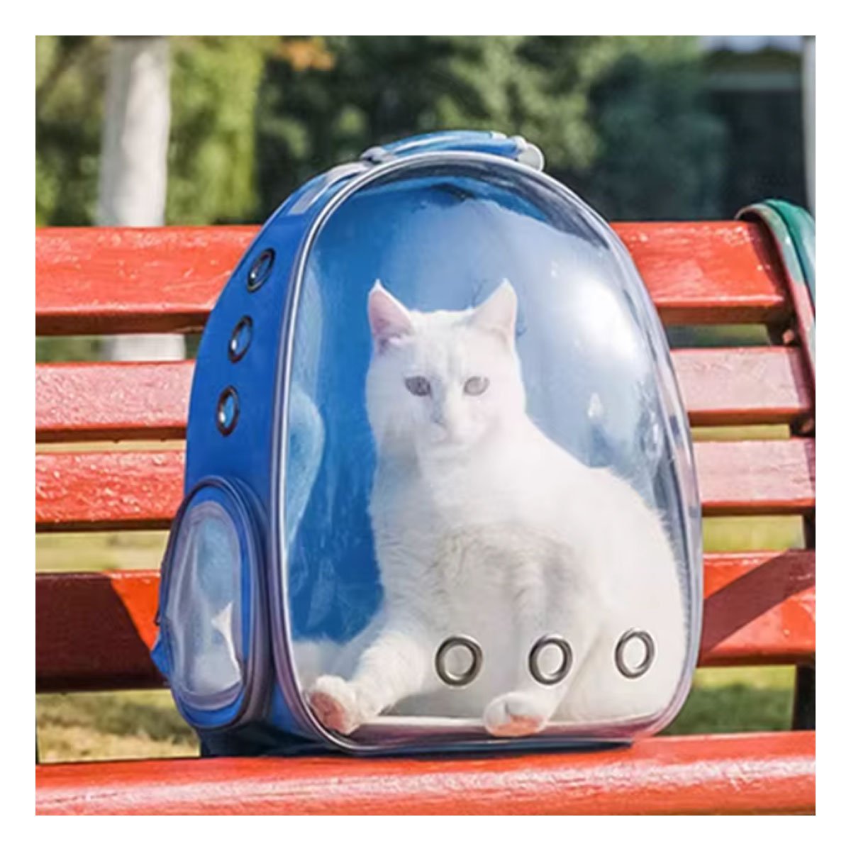 MOCHILA TRANSPORTADORA PARA GATO EN AZUL CON CAPSULA FRONTAL Y PANEL VENTILADO Y+REGALO STICKER - 2