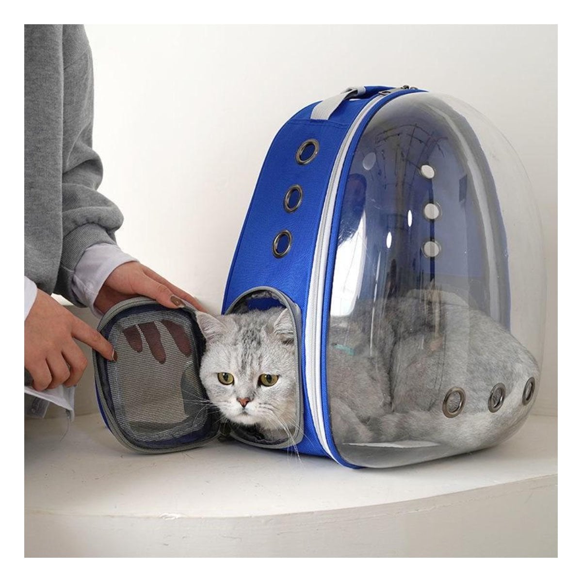 MOCHILA TRANSPORTADORA PARA GATO EN AZUL CON CAPSULA FRONTAL Y PANEL VENTILADO Y+REGALO STICKER - 5