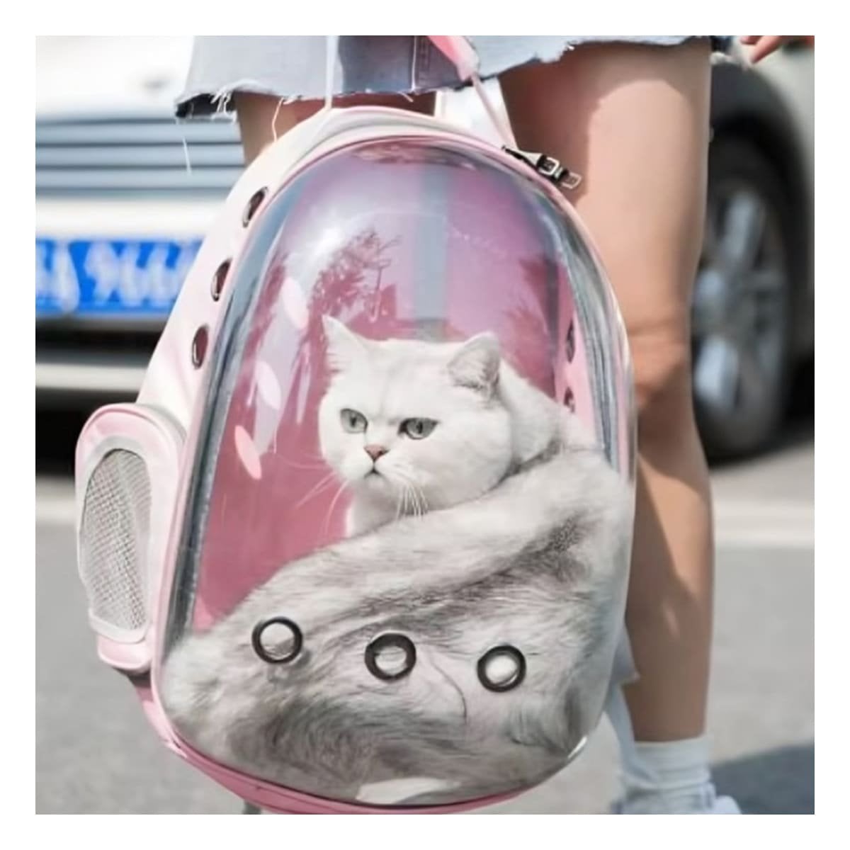 PACK4 MORRAL BURBUJA EXPANDIBLE PARA GATO EN ROSADO CON ESPACIO AMPLIO Y+PAPEL REGALO - 2