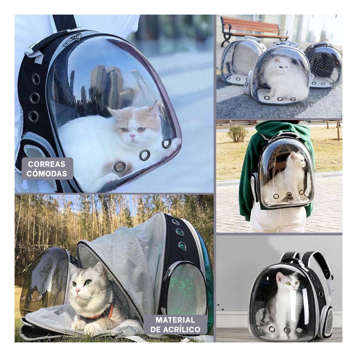MOCHILA BURBUJA EXPANDIBLE PARA GATO EN NEGRO CON ESPACIO AMPLIADO Y SOPORTE FIRME - 5