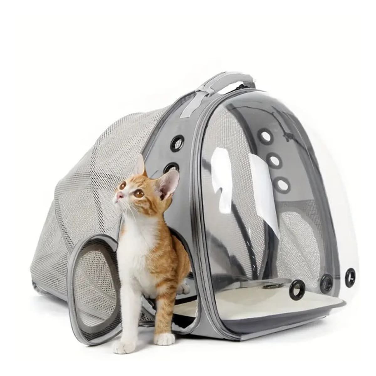 MOCHILA EXPANDIBLE PARA GATO EN PLOMO CON BURBUJA TRANSPARENTE Y SOPORTE SEGURO Y+PAPEL REGALO - 1