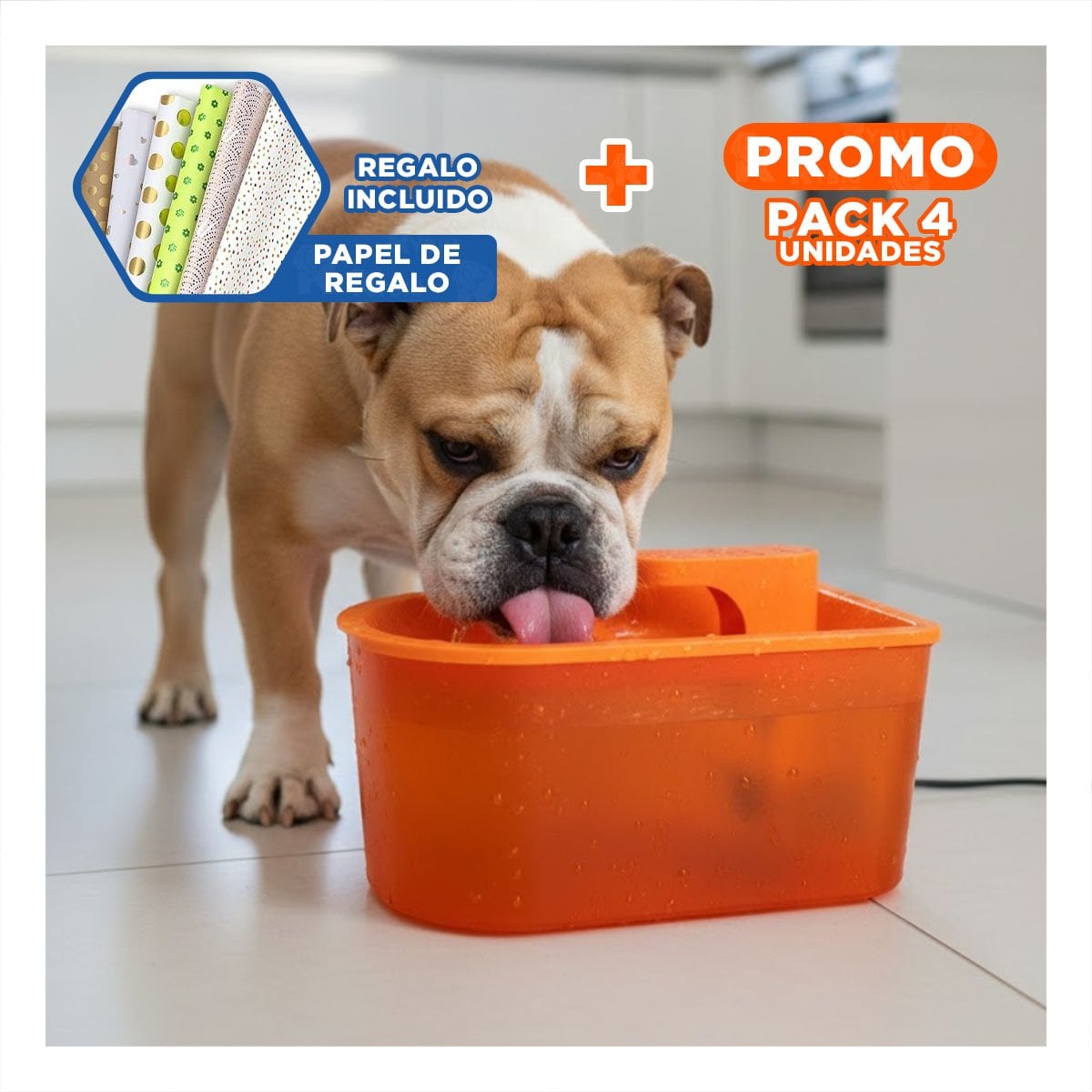 PACK4 FUENTE RECTANGULAR PET ANARANJADO DE PLASTICO MUY ACTIVO Y+PAPEL REGALO - 1