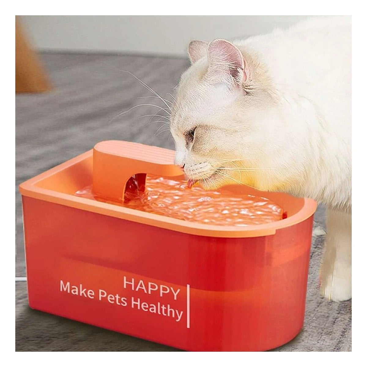 PACK4 FUENTE RECTANGULAR PET ANARANJADO DE PLASTICO MUY ACTIVO Y+PAPEL REGALO - 2