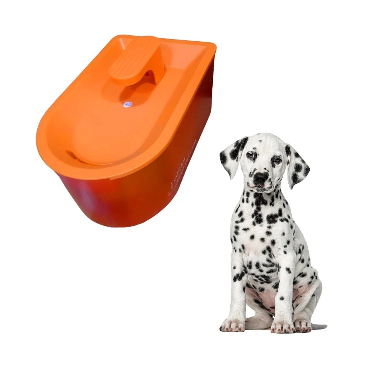 PACK4 FUENTE RECTANGULAR PET ANARANJADO DE PLASTICO MUY ACTIVO Y+PAPEL REGALO - 3