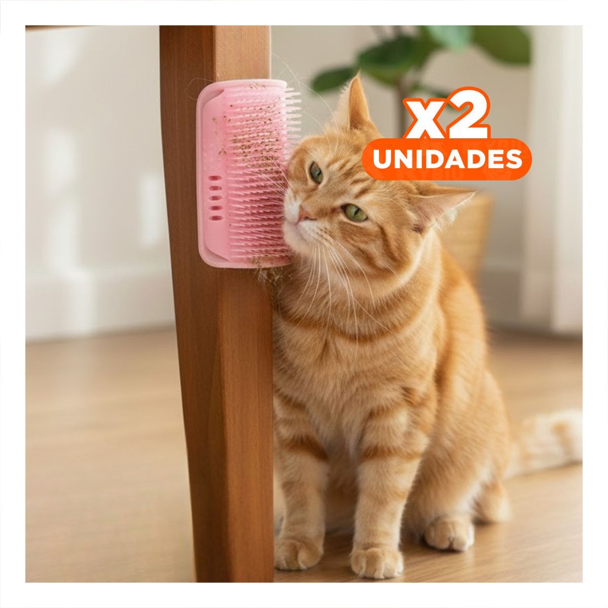 PACK2 ACCESORIO DE FRICCION ROSADA MAS ESTIMULO PARA UN FELINO DE GRAN CLASE Y+REGALO STICKER - 1